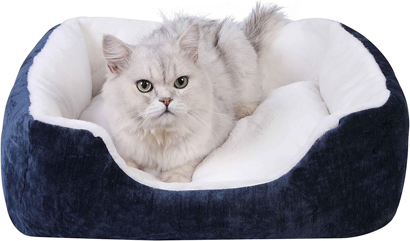 Dog Beds,Cat Beds,Dog Beds for Small Dogs,Washable Rectangular Pet Bed with Warm Breathable, Removable Washable Cover,Non-Slip Bottom with Soft Cotton and Plush