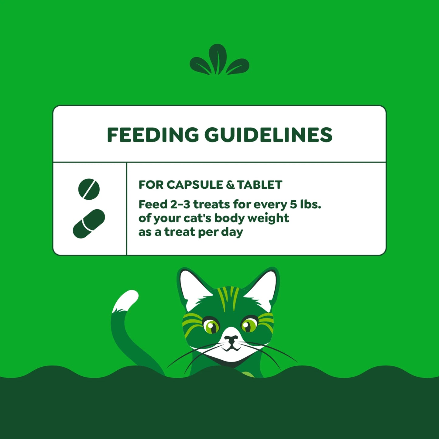 Feline Pill Pockets for Cats Natural Soft Cat Treats, Catnip Flavor, 1.6 Oz Pack (45 Treats)