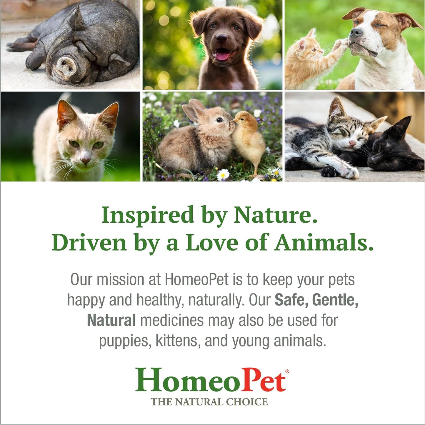 Hot Spots, Safe and Natural Cat and Dog Skin-Soothing Medicine for Red, Irritated, and Flaky Pet Skin, 15 Milliliters