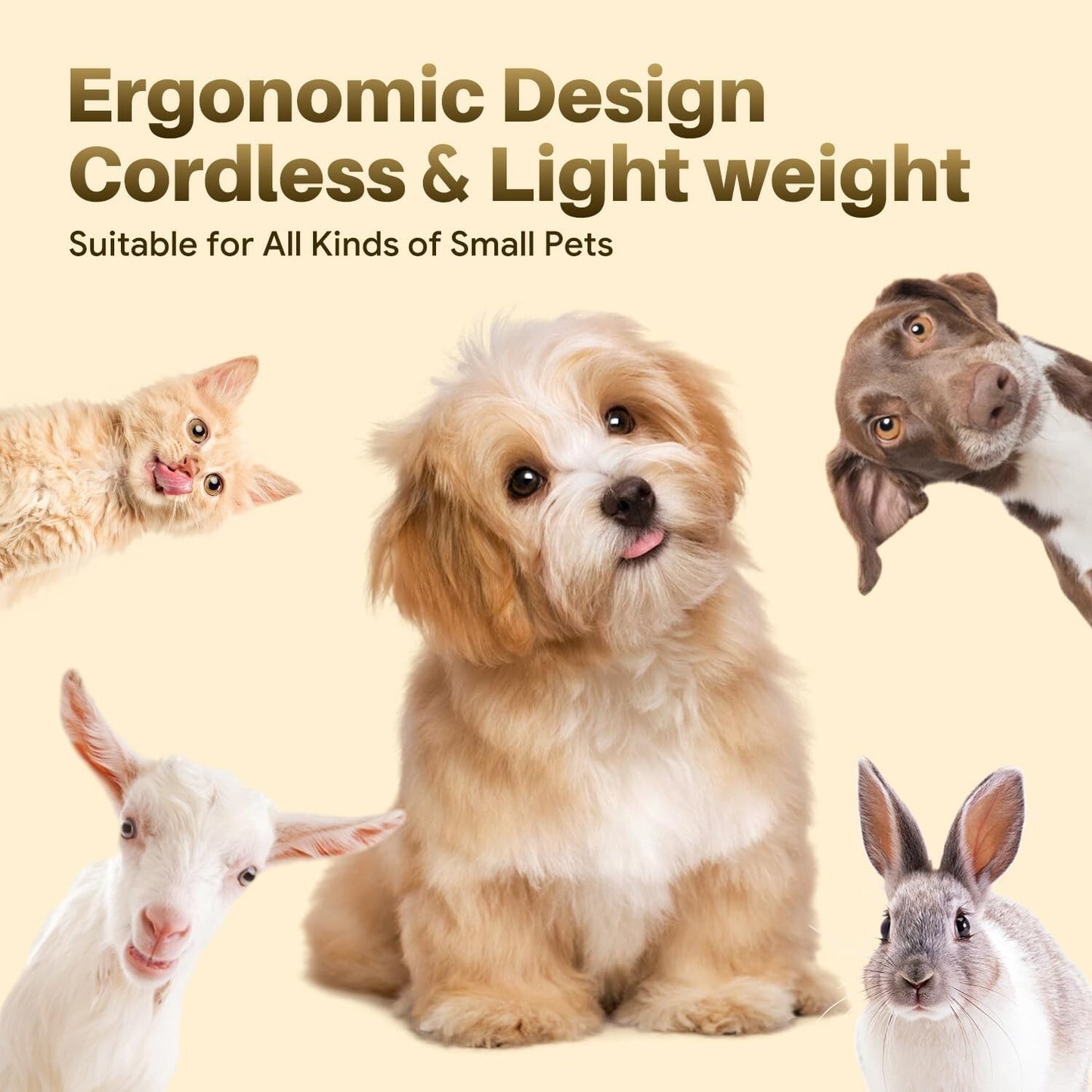Pet Clippers Professional Heavy Duty Trimmer Small Dog Grooming Kit Hair Trimmer