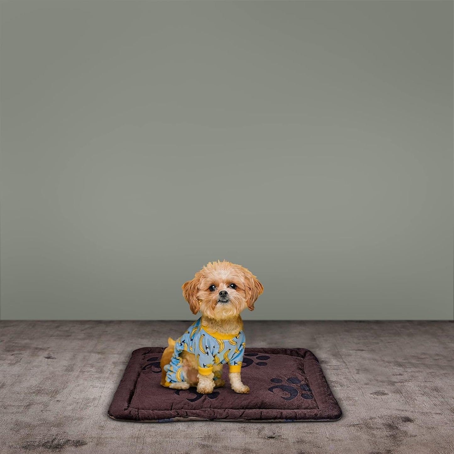 Pet Beds for Small, Medium, and Large Dogs and Cats, Brown Durable Dog Bed for Large Medium Small Dogs Soft Washable Pet Bed Breathable Rectangle Sleeping Bed Anti-Slip Bottom, Multiple Sizes S-L