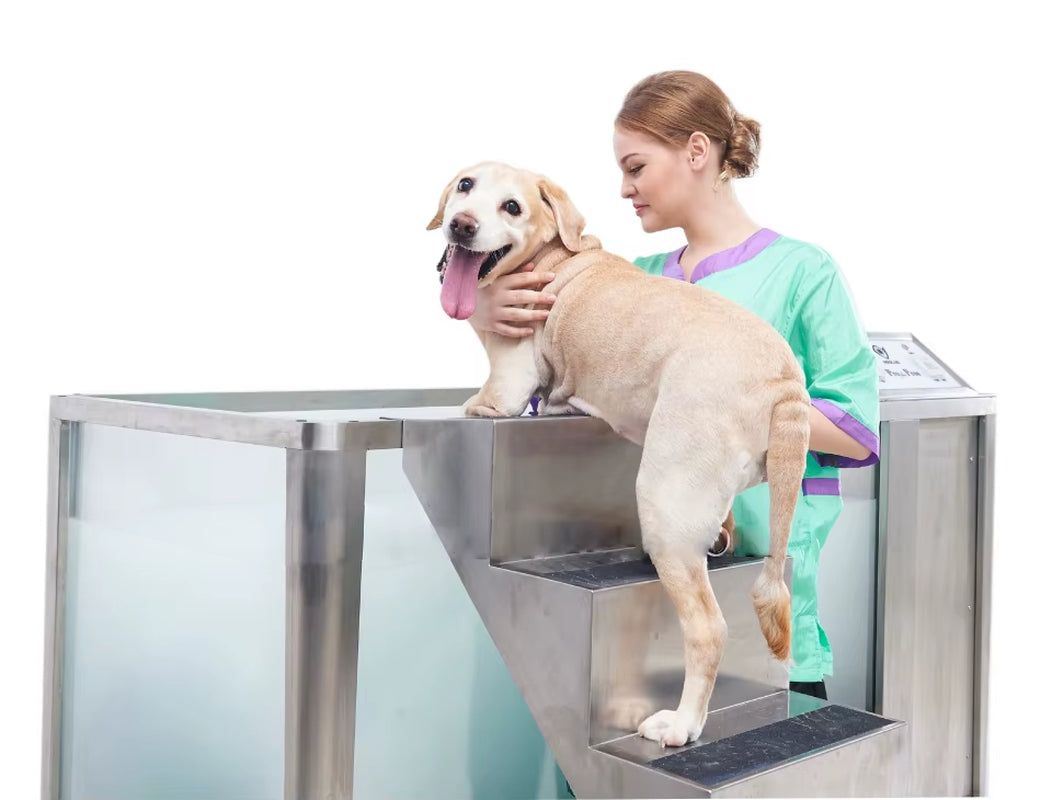 Stainless Steel Pet Bathing Grooming Bathtub Dog Washing Station Household Pet Hospital