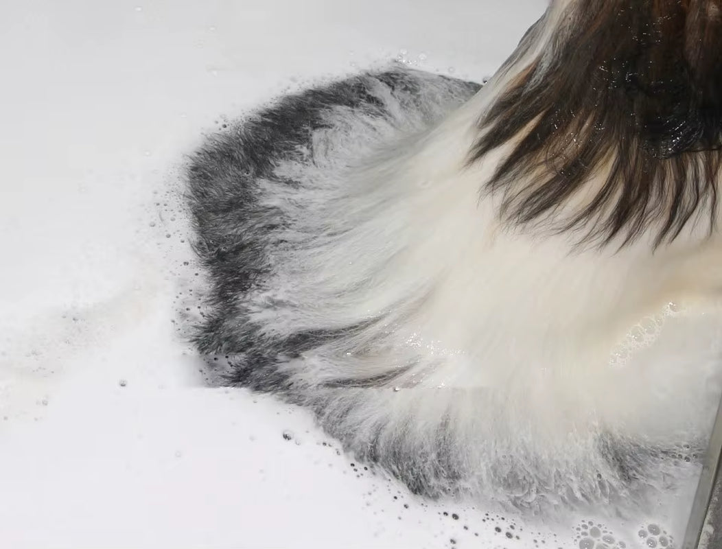 Stainless Steel Pet Bathing Grooming Bathtub Dog Washing Station Household Pet Hospital