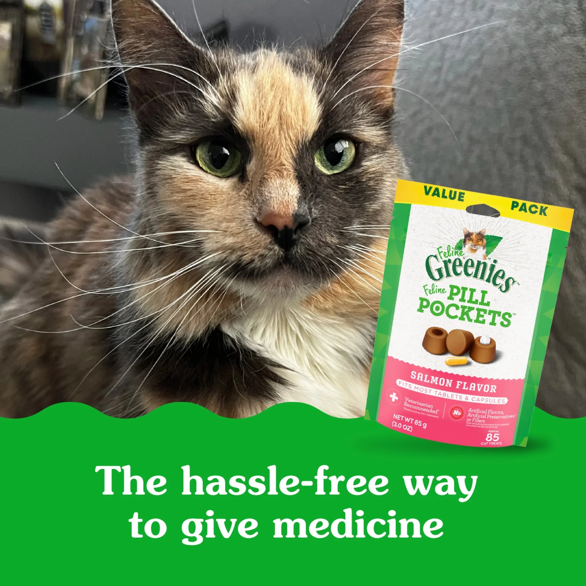 Feline  Pill Pockets for Cats Natural Soft Cat Treats, Salmon Flavor, 3 Oz Pack (85 Treats)